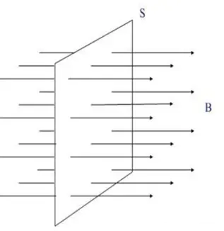 Magnetic Flux