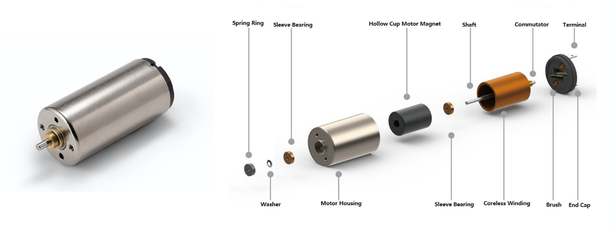 Classification and Working Principle of Hollow Cup Motors